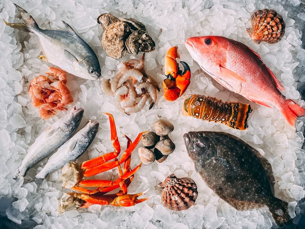 Hải sản tươi và đông lạnh